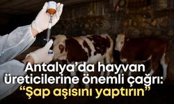 Antalya’da hayvan üreticilerine önemli çağrı: “Şap aşısını yaptırın”