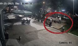 Antalya'da Dokumapark'ta şoke eden olay! Buz kütlesi uçaktan mı düştü?