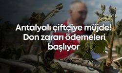 Antalyalı çiftçiye müjde! Don zararı ödemeleri başlıyor