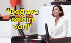 CHP’li Coşar’dan Gürlevik alarmı: "Hayvancılık ve su kaynakları tehlikede!"