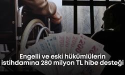 Engelli ve eski hükümlülerin istihdamına 280 milyon TL hibe desteği