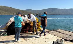 Muğla’da kaçak balıkçılara geçit yok!