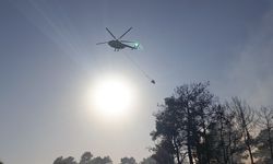 Manavgat'ta alevlerin ortasında şaşırtan görüntü!