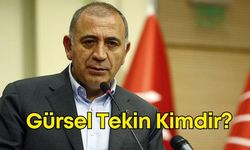 CHP İstanbul’a Kayyum Atandı: Gürsel Tekin Kimdir?