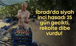 İbradı'da siyah inci hasadı 25 gün gecikti, rekolte dibe vurdu!