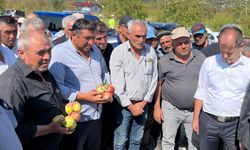 Isparta'da elmaya dolu vurdu