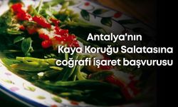 Antalya'nın Kaya Koruğu Salatasına coğrafi işaret başvurusu