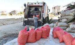 Antalya’da 1,5 ton patates imha edildi
