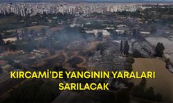 Kırcami’de yangının yaraları sarılacak!