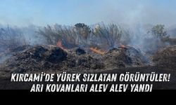 Kırcami’de yürek sızlatan görüntüler! Arı kovanları alev alev yandı