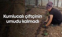 Kumlucalı çiftçinin umudu kalmadı
