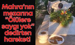 Köpeklerden kaçarken kamyonetin altında kalan Mahra'nın mezarına köpek maması bıraktılar