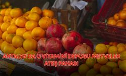 Antalya’da C vitamini deposu meyveler ateş pahası