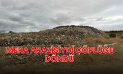 Mera arazisiydi çöplüğe döndü, koyunlar telef oldu!