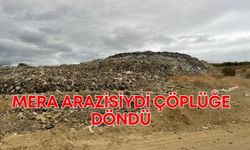 Mera arazisiydi çöplüğe döndü, koyunlar telef oldu!