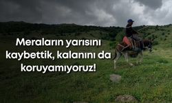 Meraların yarısını kaybettik, kalanını da koruyamıyoruz!