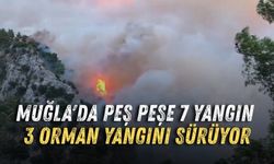 Muğla'da peş peşe 7 yangın: 3 orman yangını sürüyor