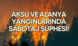 Ali Adnan Kaya: "Aksu ve Alanya'daki orman yangınlarında sabotaj şüphesi var"