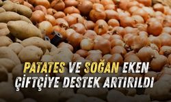Patates ve soğan üreticisine destek