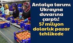 Antalya tarımı Ukrayna duvarına çarptı! 57 milyon dolarlık pazar tehlikede