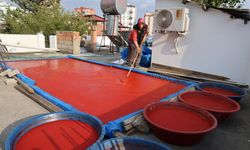 Kadınların emek dolu mesaisi başladı! Damlar kırmızıyla renklendi