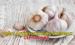 Antalya’da kış hazırlıkları yarıda kaldı! Doğal antibiyotik kuru sarımsağa güç yetmiyor