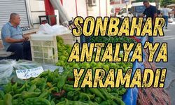 Sonbahar Antalya’ya yaramadı! Sebze meyve fiyatları ateş pahası
