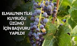 Elmalı'nın tilki kuyruğu üzümü için başvuru yapıldı!