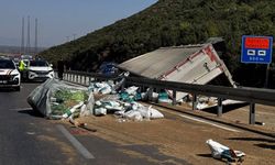 Döşemealtı'nde yol savaş alanına döndü! Devrilen TIR'ın sürücüsü öldü