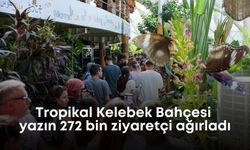 Tropikal Kelebek Bahçesi yazın 272 bin ziyaretçi ağırladı