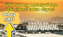 Türk Tuborg, Antalya’dan içki şirketi satın alıyor! Hisse devri için onay çıktı