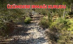 Antalya’da Oymapınar ve Manavgat barajlarını besleyen Üzümdere Irmağı kurudu