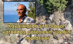 Antalya'da sarp kayalıklarda şifa arayan vatandaş görenlerin yüreğini hoplatıyor