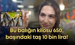 Bu balığın kilosu 650, başındaki taş 10 bin lira!