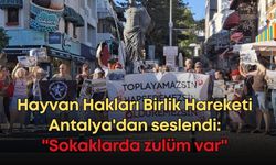 Hayvan Hakları Birlik Hareketi Antalya'dan seslendi: "Sokaklarda zulüm var"