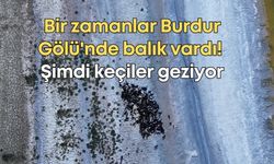 Bir zamanlar Burdur Gölü'nde balık vardı! Şimdi keçiler geziyor