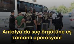 Antalya'da suç örgütüne eş zamanlı operasyon!