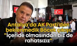 Antalya’da AK Parti’den beklenmedik Böcek çıkışı: "İçeride olmasından biz de rahatsızız"