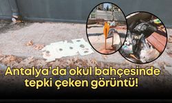Antalya’da okul bahçesinde tepki çeken görüntü!
