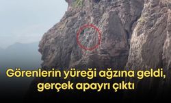 Görenlerin yüreği ağzına geldi, gerçek apayrı çıktı