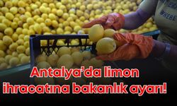 Antalya’da limon ihracatına bakanlık ayarı!