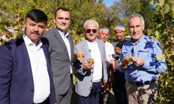 Finike’de 2. Yazır Üzümü Festivali coşkuyla kutlandı