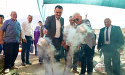 Finike’de üzüm şenliğine hava engeli! Yeni tarih netleşmedi