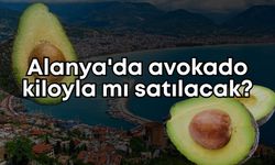 Alanya'da avokado kiloyla mı satılacak?