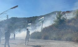 Alanya'da ormanlık alanda yangın çıktı
