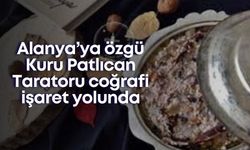 Alanya’ya özgü Kuru Patlıcan Taratoru coğrafi işaret yolunda