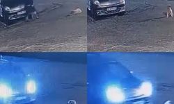 Anamur’da yavru köpeğin ölümü üzdü