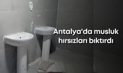 Antalya'da musluk hırsızları bıktırdı