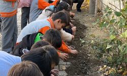 Konya'dan Yüksekova'ya Cumhuriyet hediyesi: Ata tohumları toprakla buluştu