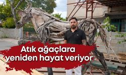 Atık ağaçlara yeniden hayat veriyor